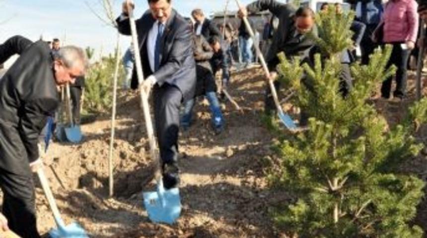 Ke&ccedil;i&ouml;ren&rsquo;de &Ouml;ğretmenlerin De Yeni Fidanları Oldu