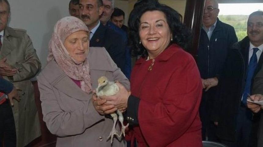 Vali&rsquo;nin Dağıttığı Hindiler Yetişiyor