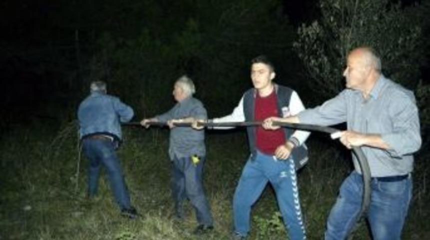 Ak&ccedil;akoca&rsquo;da Orman Yangını