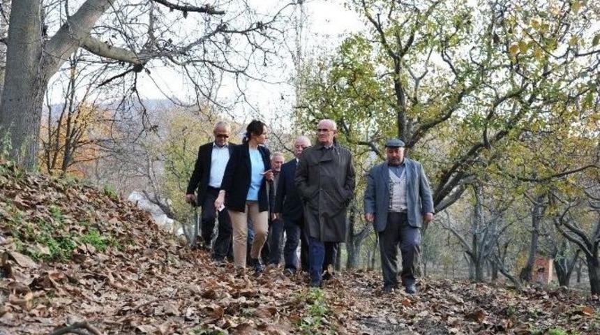 Kurtuluşa Giden Yolun Ayak İzleri Canlanıyor
