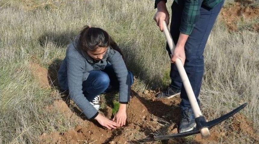 &Ouml;ğretmenler G&uuml;n&uuml;nde Bin Fidan Toprakla Buluşturuldu