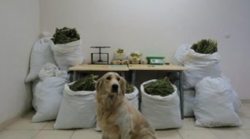 Diyarbakır&rsquo;da Uyuşturucu Tacirlerine 7 Ayrı Operasyon