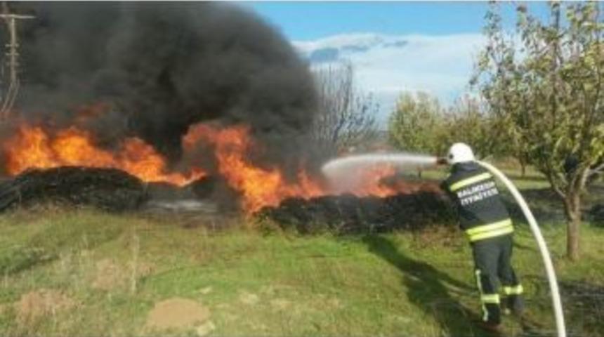 Ark Yapan Elektrik Telleri Yangına Sebep Oldu