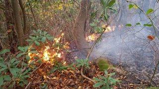 Çatalpınar’da 4 Günde 2. Orman Yangını