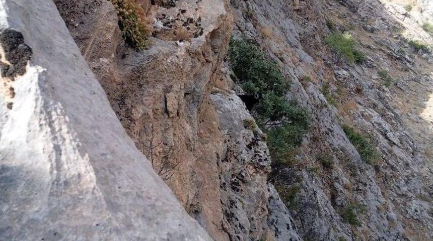 Adıyaman&rsquo;da Ke&ccedil;i Kurtarma Operasyonu