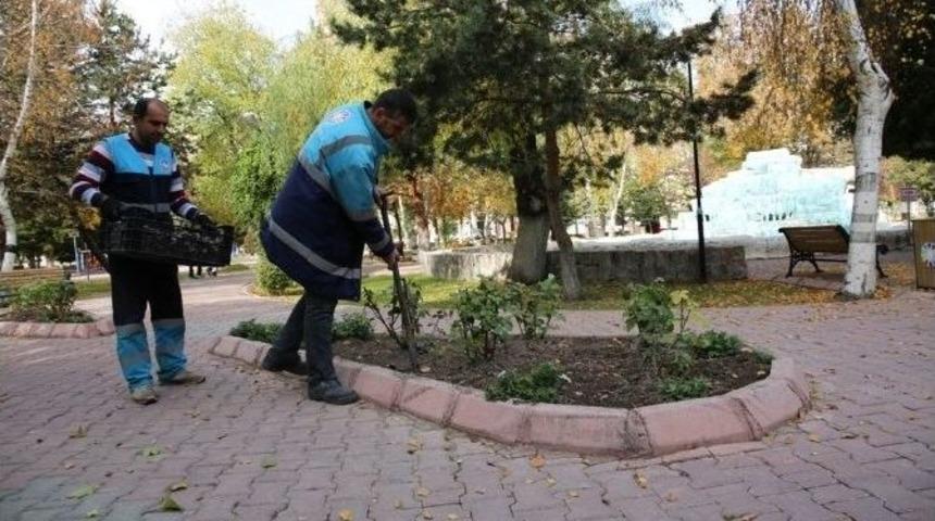 &Ccedil;olakbayrakdar, "100 Bin Lale Diktik"
