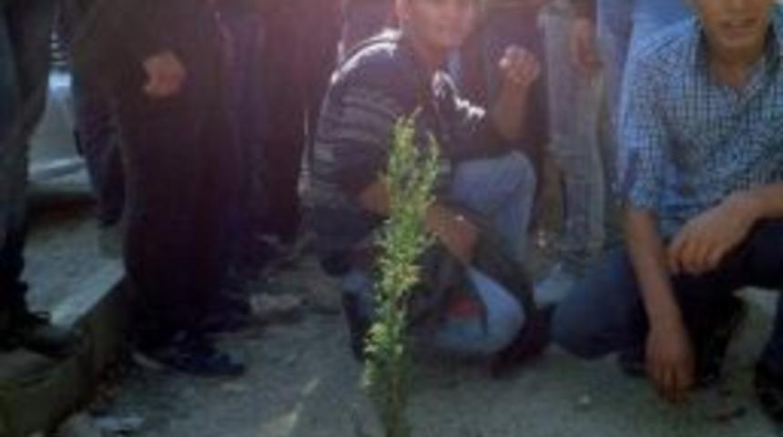 &Ouml;ğrenciler Okul Bah&ccedil;esini Ağa&ccedil;landırdı