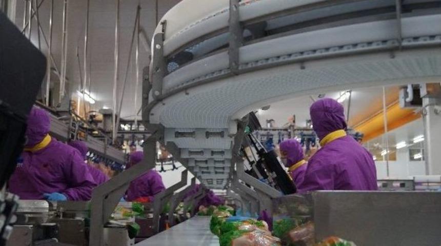 Rusya&rsquo;nın Ambargosu T&uuml;rkiye&rsquo;yi Etkilemez...(&ouml;zel Haber)