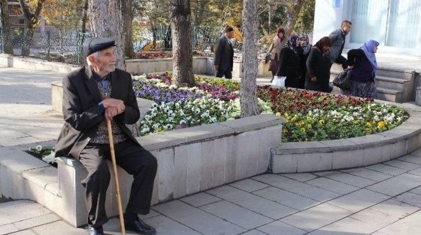 Sungurlu Rengarenk &Ccedil;i&ccedil;ek A&ccedil;tı