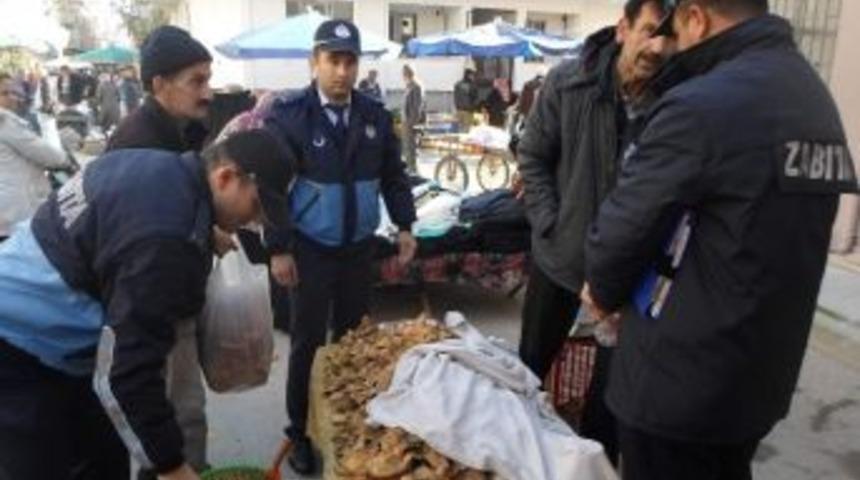 Gemlik Zabıtasından Mantar Operasyonu