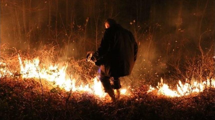 Akkuş&rsquo;ta Orman Yangını