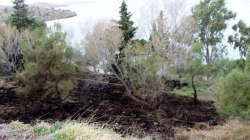 Fo&ccedil;a&rsquo;da Yangın Paniği