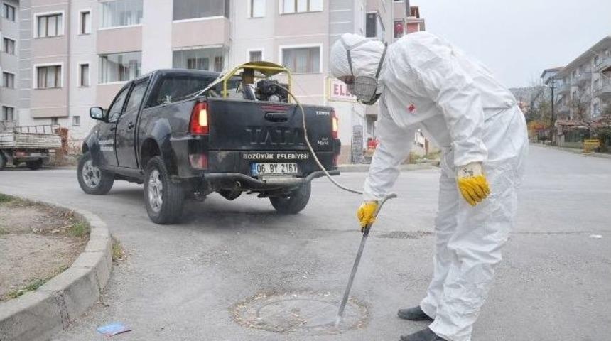 Boz&uuml;y&uuml;k&rsquo;te Haşerelere Y&ouml;nelik Kışlak M&uuml;cadelesi Başladı