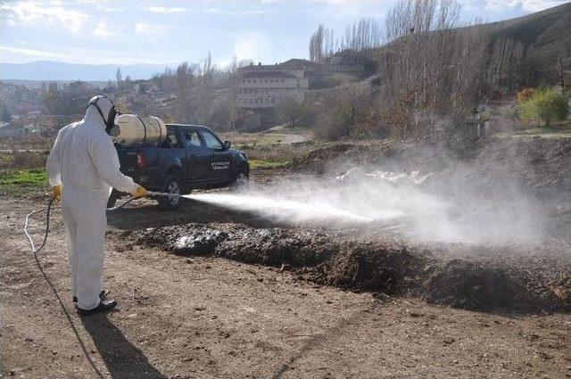 Bozüyük’te Haşerelere Yönelik Kışlak Mücadelesi Başladı