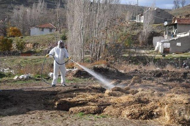 Bozüyük’te Haşerelere Yönelik Kışlak Mücadelesi Başladı