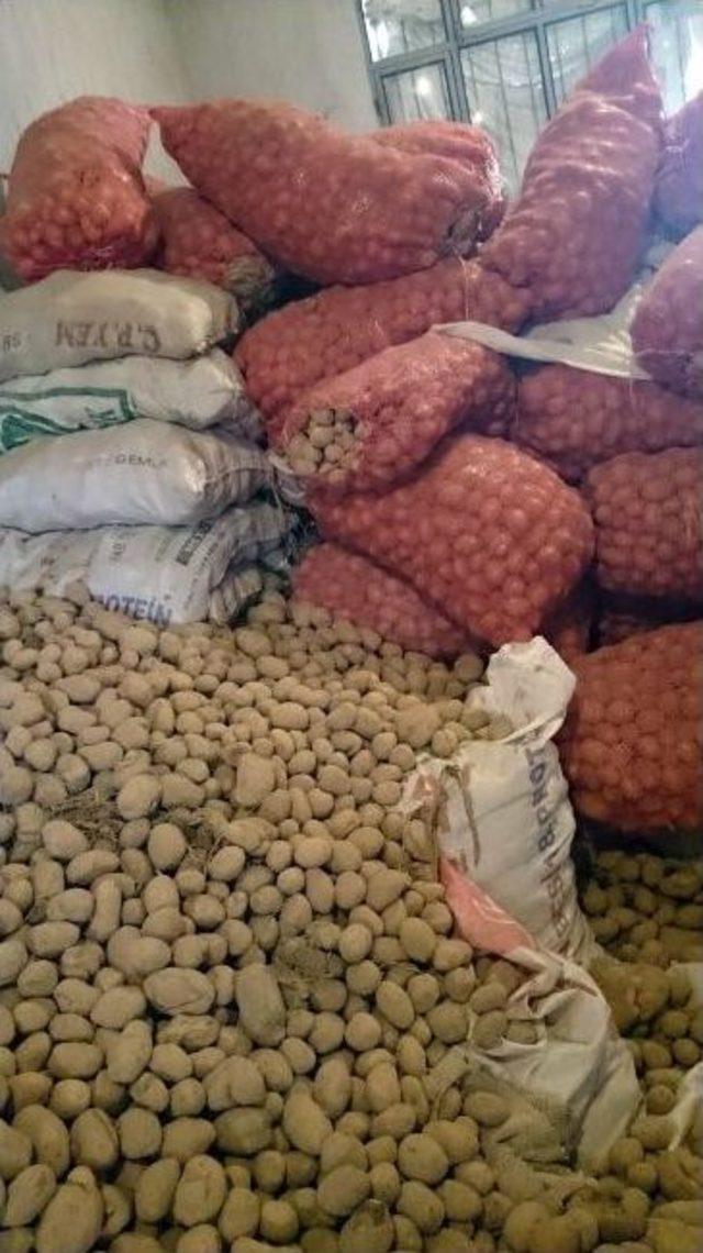 Şuhutlu Patates Üreticisini Bu Yıl ’mantar’ Hastalığı Vurdu