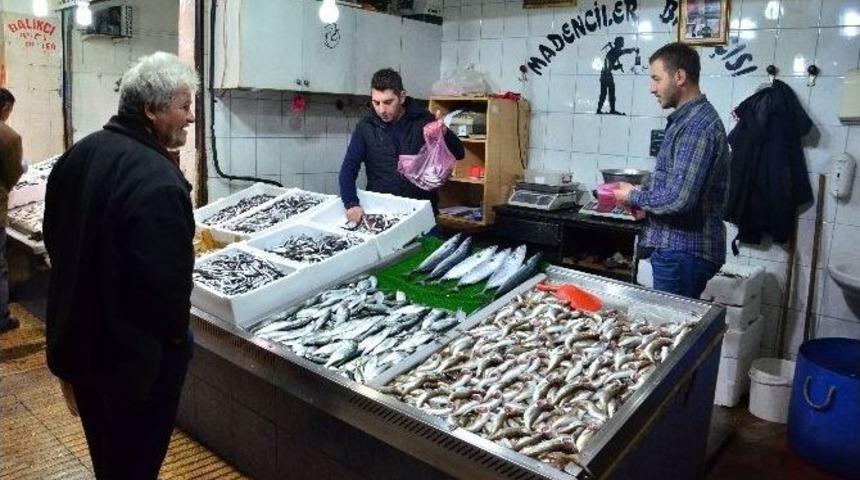 Balık Fiyatları Cep Yakıyor