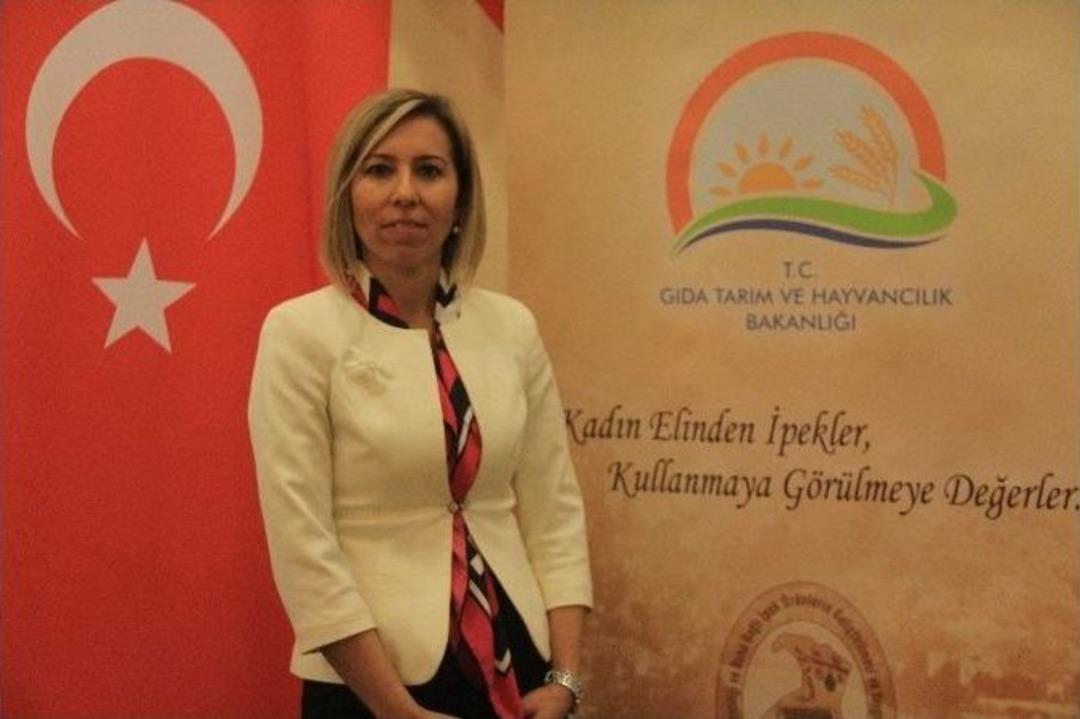 İpek Eserler G&ouml;r&uuml;c&uuml;ye &Ccedil;ıktı