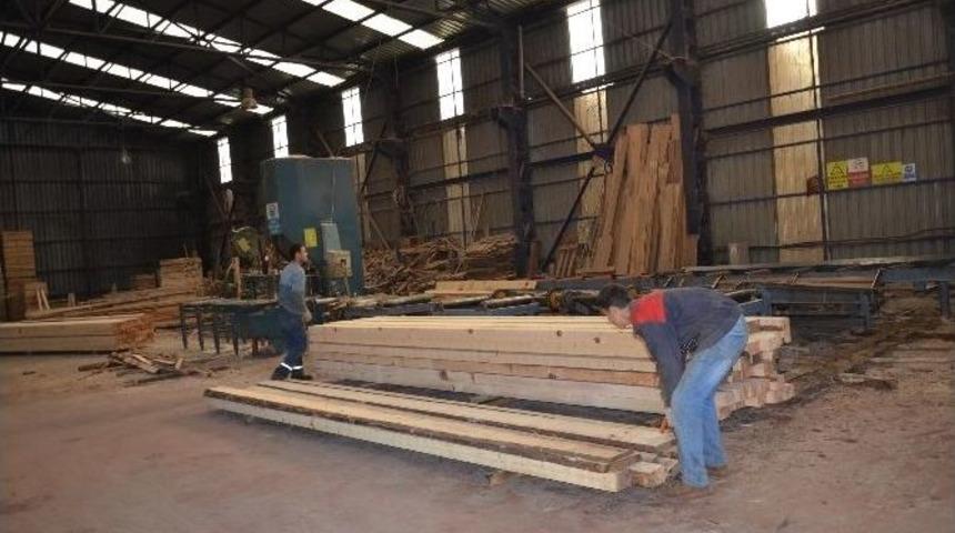 Osmanlı&rsquo;nın Gemi Yapımında Kullandığı Tomruklar Ahşap İmalatında Kullanılıyor
