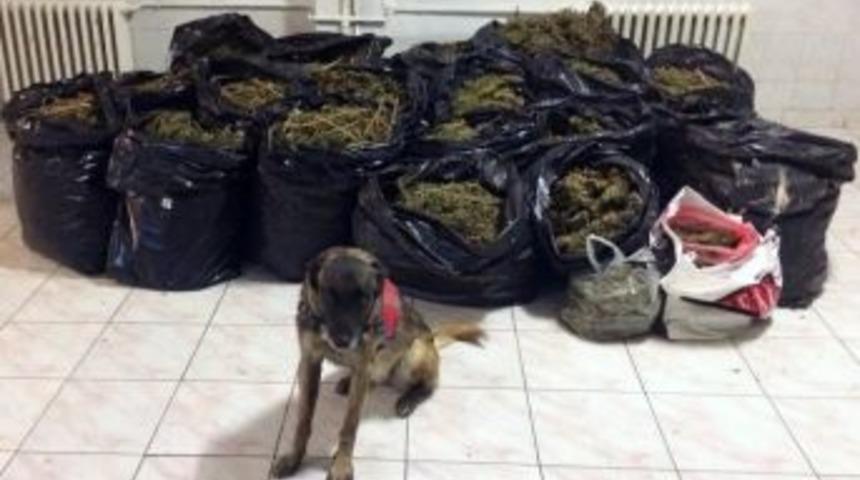 Eskişehir’de 400 Bin Tl’lik Esrar Ele Geçirildi