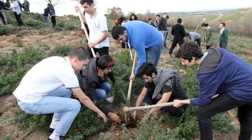 &Ouml;ğrenciler Yeşil Bir Doğa İ&ccedil;in Fidanları Toprakla Buluşturdu