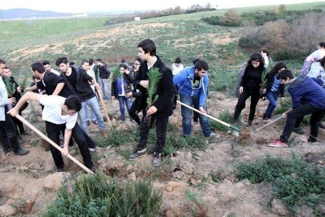 Öğrenciler Yeşil Bir Doğa İçin Fidanları Toprakla Buluşturdu