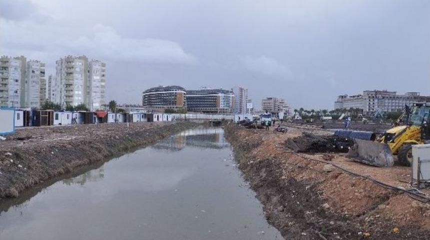 Antalya&rsquo;da Balık &Ouml;l&uuml;mleri