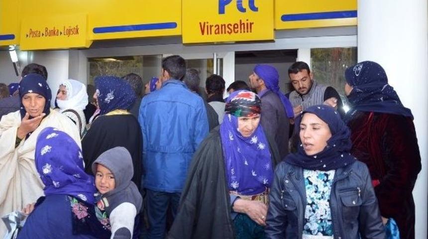 Viranşehir&rsquo;de Eğitim Ve Aşı Yardımında İzdiham