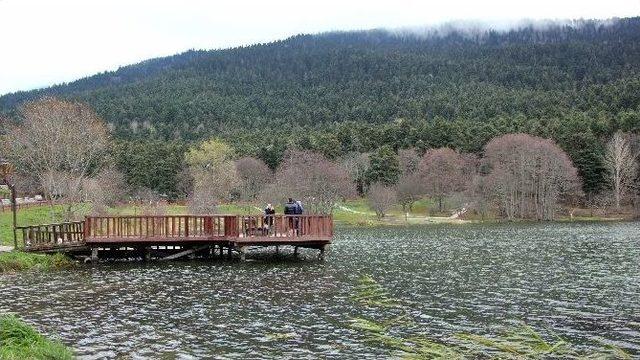 Bolu’ya 35 Milyonluk Teleferik Yatırımı Geliyor