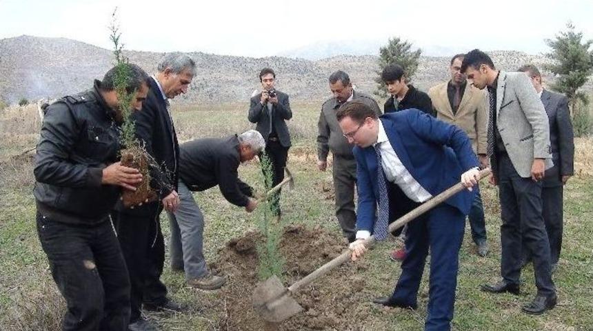 G&ouml;lbaşı G&ouml;lleri Tabiat Parkı&rsquo;na Ağa&ccedil; Dikildi