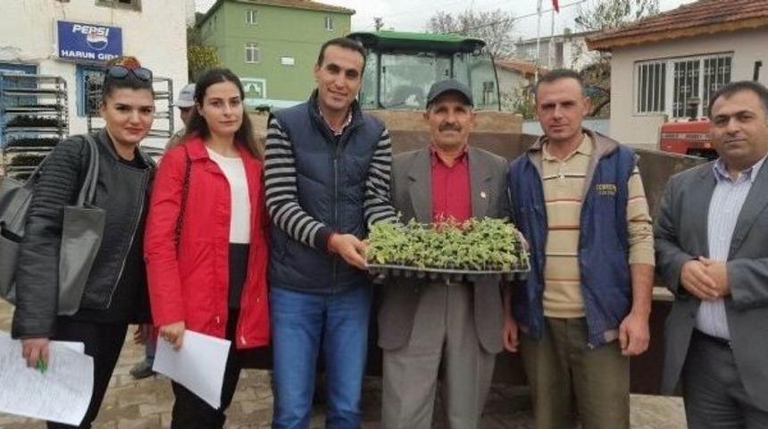 Odun Dışı Orman &Uuml;r&uuml;nlerini Geliştirme Projesi Uygulaması Başladı