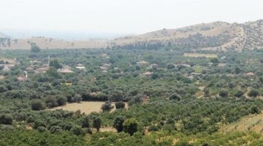 Kaymak&ccedil;ı&rsquo;da &ldquo;&ccedil;ed Gerekli Değildir" Kararına İptal