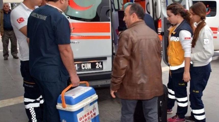 Beyin &Ouml;l&uuml;m&uuml; Ger&ccedil;ekleşen &Ccedil;ocuğun Organları 4 Kişiye Umut Oldu