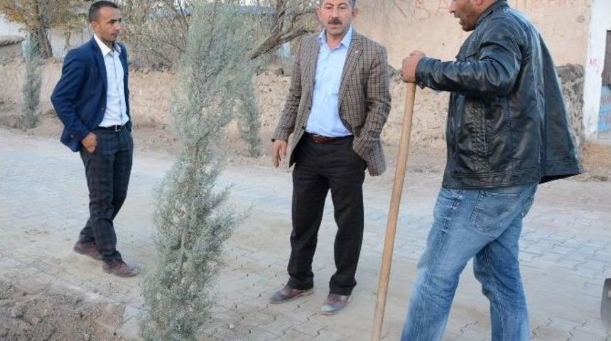 Yeşilova Yeşilleniyor