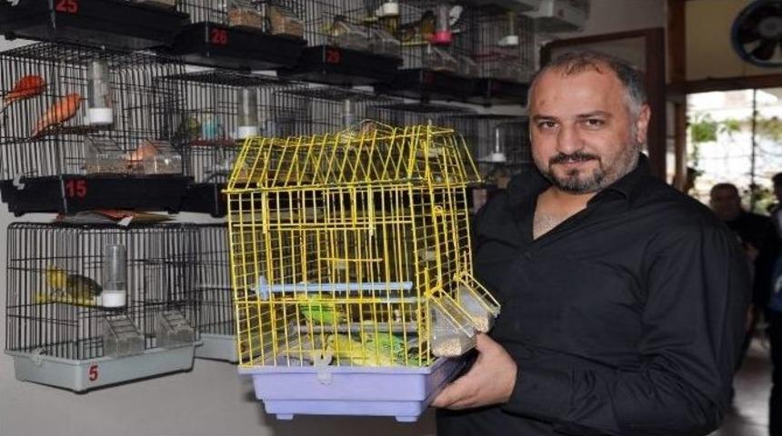 A&ccedil;ık Artırmaya &Ccedil;ıkarılan Kuşlar Havada Kapışılıyor