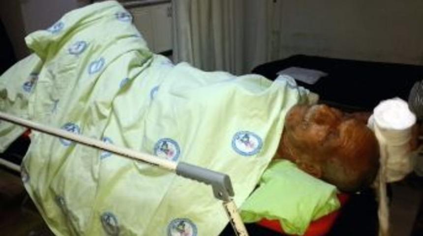 Dere Yatağına D&uuml;şen Yaşlı Adam Ağır Yaralandı