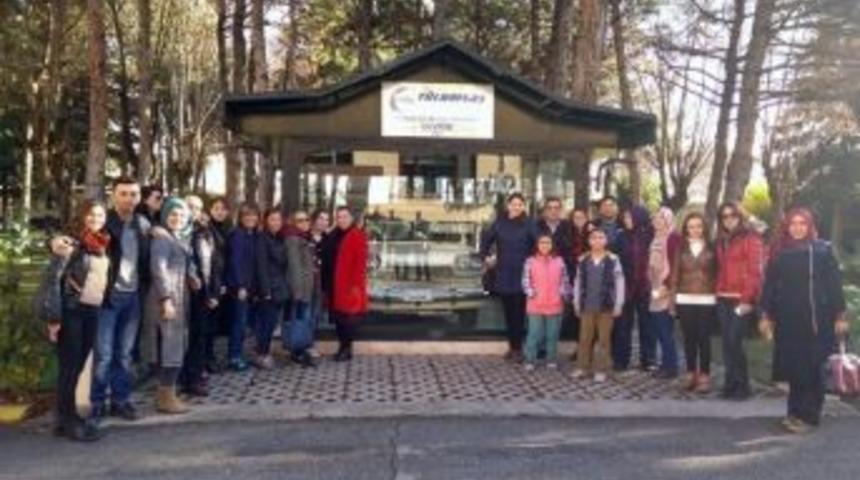 Tur Otob&uuml;s&uuml; Devrildi: 23 Yaralı