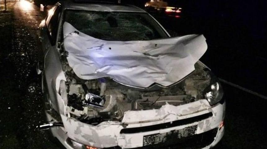 Hayvanlara &Ccedil;arpan İki Otomobil Hurdaya D&ouml;nd&uuml;