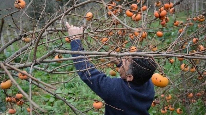 G&ouml;rselliği Ve Lezzetiyle İlgi &Ccedil;ekiyor