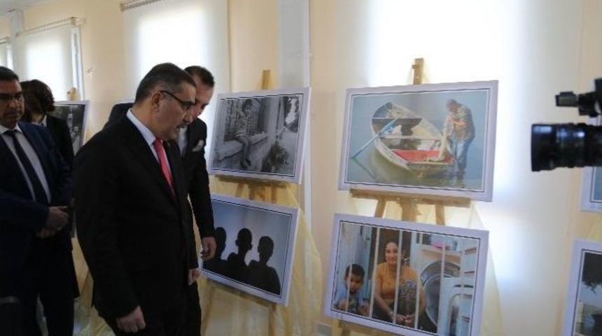 50 Akil Gen&ccedil; Resim Sergisi A&ccedil;tı