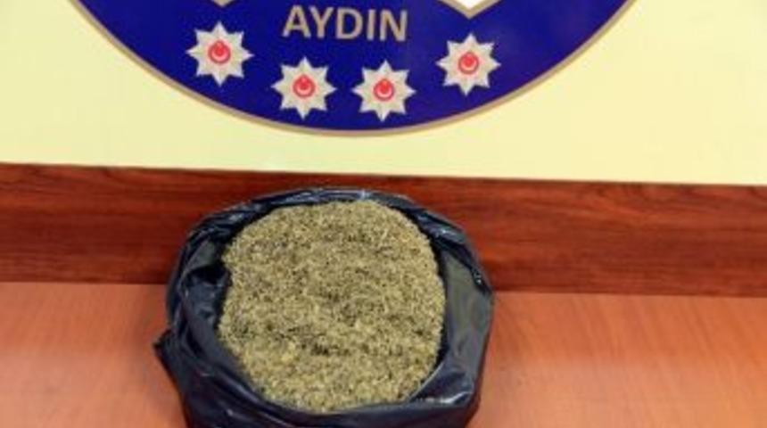 Aydın&rsquo;da 1 Kilo Bonzai Ele Ge&ccedil;irildi