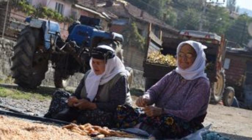 Sındırgı&rsquo;da Sofralarda Kış Hazırlığı
