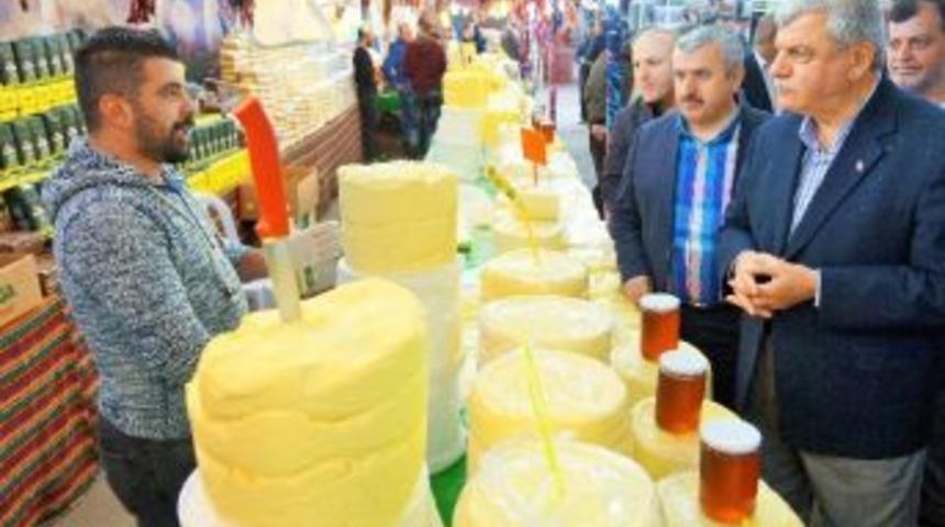 Artvin-batum G&uuml;nlerinde K&ouml;rfez Belediyesi R&uuml;zgarı Esti