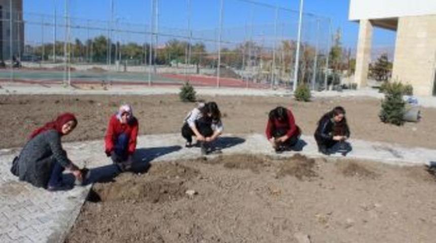 Gen&ccedil;ler Fidan Dikti