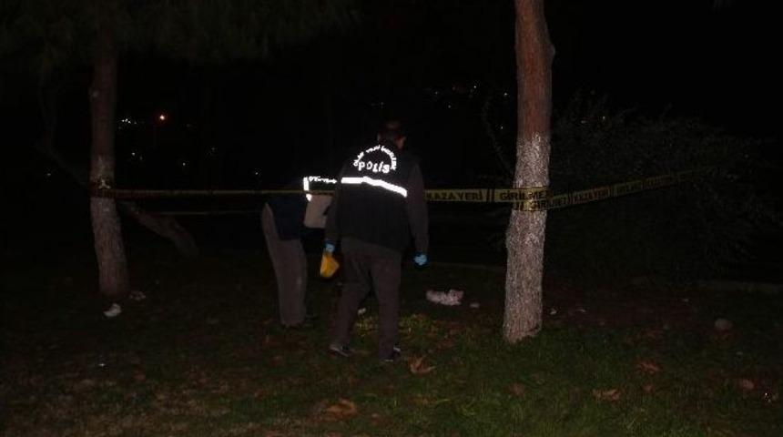 Aydın&rsquo;da Trafik Kazası: 1 &Ouml;l&uuml;