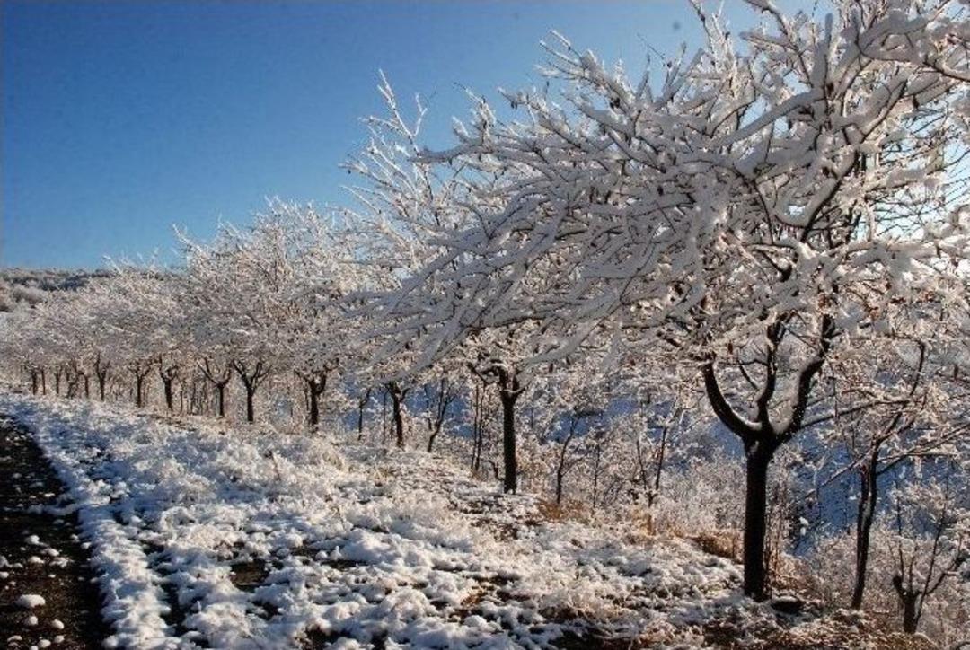 Tokat&rsquo;ta Kar Yağışı Y&uuml;ksek Kesimlerde Etkili Oldu
