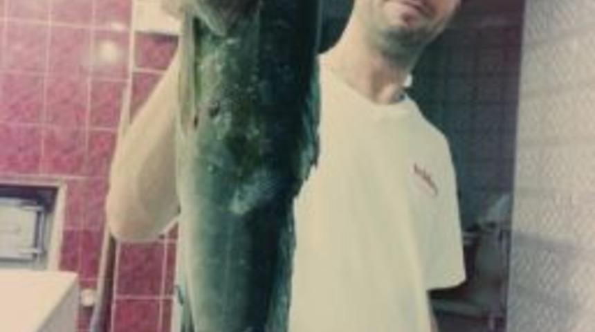 Teknenin &Ccedil;arptığı Amat&ouml;r Balık&ccedil;ı Yaşam Savaşını Kaybetti