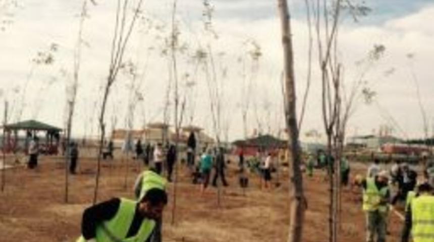 Dilovası Park Ve Bah&ccedil;eleri Bakımdan Ge&ccedil;iriliyor