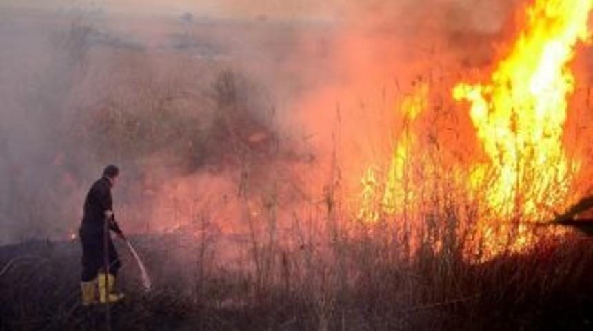 D&uuml;zce İtfaiyesi 209 Anız Yangınına M&uuml;dahale Edildi