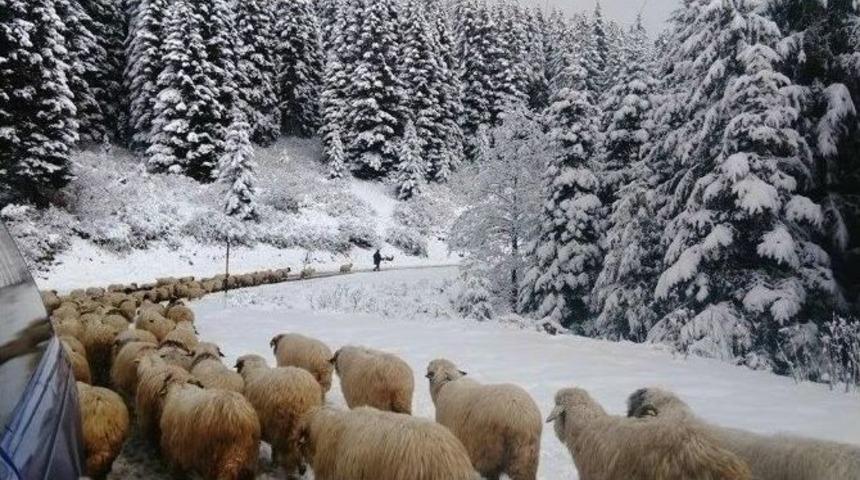 &Ccedil;ambaşı Yaylası&rsquo;nda Kartpostallık G&ouml;r&uuml;nt&uuml;ler